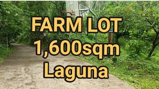 FARM LOT 1600sqm LAGUNA [upl. by Ahsuatal]