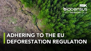 EU Deforestation Regulation – implications for businesses and pathways to compliance [upl. by Cornela]