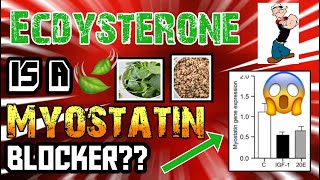 ECDYSTERONE BLOCKS MYOSTATIN  40 DROP IN MYOSTATIN SIMILAR TO IGF1 🧬🐂💉MYOSTATIN MONDAY🧬🐂💉 [upl. by Yekcaj48]