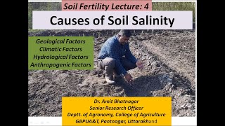 Causes of Soil Salinity [upl. by Llenaj]