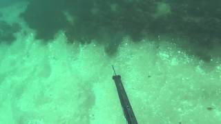 Spearfishing Portsea [upl. by Antonetta]