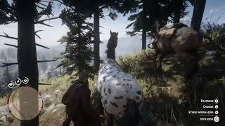 Localização de um dos Cavalos mais Raros de Red Dead Redemption II [upl. by Nil]