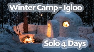 4 Days SOLO WINTER Camp  IGLOO Build  CHAGA Harvesting  Snow Shelter  Snowfall [upl. by Redwine280]