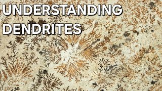 UNDERSTANDING DENDRITES MINERALOGY 🌴 [upl. by Suiraj64]