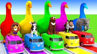 5 Giant Duck CartoonCowElephantTigerLionDinosaurPaint Wild Animals Crossing Fountain Animation [upl. by Genna]