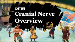 Memorizing the Cranial Nerves Full Lesson  Sketchy Medical  USMLE Step 1 [upl. by Bentlee]