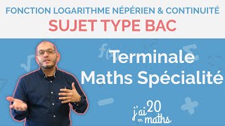 Sujet type Bac  Fonction logarithme népérien et continuité  Terminale Maths Spécialité [upl. by Naut180]