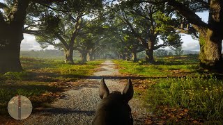 Braithwaite Manor  Beauty of Red Dead Redemption 2 [upl. by Aliekahs]