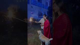 Finally diwali mana li ❤️ dog funny story doglover comedy trending meghachaube indianbatsman [upl. by Fia335]