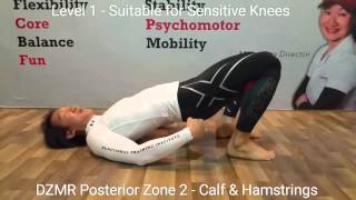 DZMR Posterior Zone 2  Calf amp Hamstrings [upl. by Johnna]