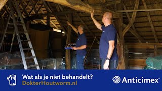 Wat gebeurt er wanneer je houtworm niet behandelt [upl. by Lyrred]