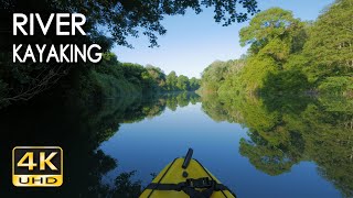 4K River Kayaking  Birds Singing  Water Sounds  Paddling a Canoe Relaxing Nature Video  NO LOOP [upl. by Evanthe]