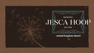 Jesca Hoop  Animal Kingdom Chaotic [upl. by Alida]