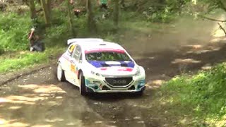 Rallye dAllemagne 2015 [upl. by Aynot844]