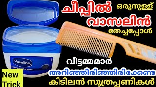 ഒരു തുള്ളി വാസലിൻ ചീപ്പിൽ തടവിയപ്പോൾ കിടിലൻ സൂത്രംവീട്ടമ്മമാർ മിസ്സ്‌ ആക്കല്ലേVaseline Tips [upl. by Itnahsa17]