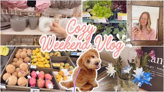 Cozy WEEKEND Vlog 🎀 Deko Shopping  Küche dekorieren  Mama life  keinen grünen Daumen [upl. by Anirahtak]