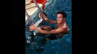 Fun In Acapulco Elvis Cover sung by Del Bradley [upl. by Yngad472]