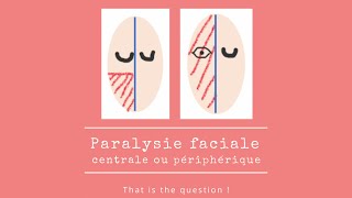 Paralysie faciale  Centrale ou Périphérique [upl. by Annaoj607]