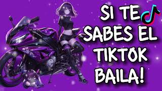 SITE SABES EL TIKTOK BAILA 2024 💜 [upl. by Quartas869]