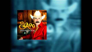 El Chapo de Sinaloa  Triunfador Audio [upl. by Jolanta]