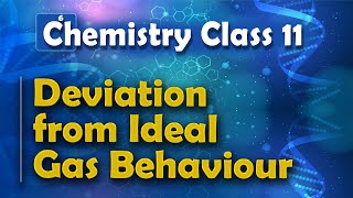 Deviation from Ideal Gas Behaviour  States of Matter  Chemistry Class 11 [upl. by Temirf271]