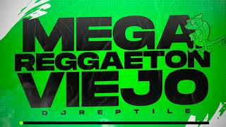 ENGANCHADO MEGA REGGAETON VIEJO 1  ALAN GOMEZDJ TAOAXEL CARAMKEVO DJDJ REPTILE 🎧🐸 VARIOS DJS [upl. by Etan]