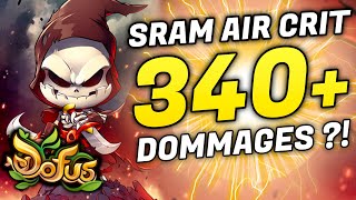 SRAM AIR POISON CRITIQUE SUR DOFUS 340DO [upl. by Chastain912]