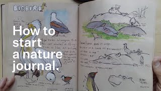 How to start a nature journal [upl. by Gillead]