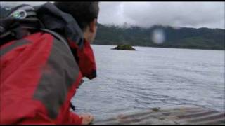 Man vs Wild  Alaska  Whale Watch [upl. by Allenad]