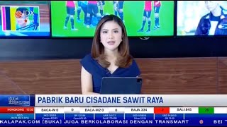 PT Cisadane Sawit Raya Tbk Menggelar Seremoni Peletakan Batu Pertama Pabrik Kelapa Sawit ke2 [upl. by Yznel]