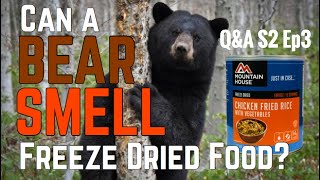 QampA  Can Bears SMELL Freeze Dried Food S2 Ep3 [upl. by Nod811]