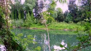 PERUGIA Percorso pedonale lungo il Tevere  Full HD [upl. by Mahgirb408]