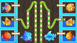 Save The Fish  Fish Game  Pro Fish  Save The Fish Level 6661 To 6700 [upl. by Derf]