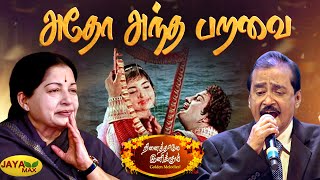 அதோ அந்த பறவை போல  Adho Andha Paravai Song  MSV Songs  Aayirathil Oruvan  Jaya Max [upl. by Jackqueline170]