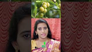 நெல்லிக்காய் இப்படி சாப்டா சளி பிடிக்காது Gooseberry benefits shorts gooseberry amla nellikai [upl. by Ellevehc611]