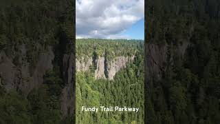 Fundy Trail Provincial Park  Parks  NB Parks  Fundy Trail Parkway  Fundy  shorts fundy [upl. by Greyson]