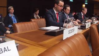 SGAC CoChair Statement at UN COPUOS STSC 2019 [upl. by Jeffers]