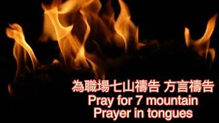 為職場七山禱告 pray for 7 mountain 方言禱告 praying in tongues [upl. by Eedrahc]