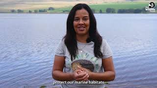 Liz Bonnin introduces The Blue Carbon Mapping Project [upl. by Jer835]