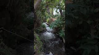 Peaceful Ollantaytambo [upl. by Kristian357]