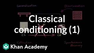 Classical Conditioning cc [upl. by Constantina730]