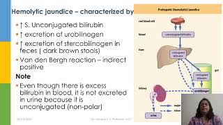 Hemolytic Jaundice Explained  Causes Symptoms and Biochemical Insights [upl. by Malachy]