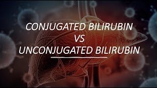 Conjugated Bilirubin VS UnConjugated Bilirubin [upl. by Dnob]