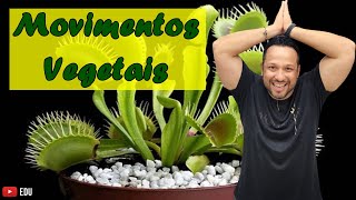 Movimentos Vegetais  Tropismo  Nastismo  Heliotropismo  Tactismo  Fisiologia Vetegetal [upl. by Nelram]