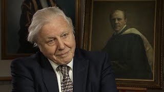 Sir David Attenborough  Memories of the University of Leicester [upl. by Zerep]