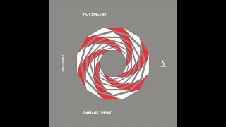 Hot Since 82  Damage [upl. by Ymmak]