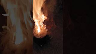 wood stove waste oil burner short video burnal🤔😯 [upl. by Dorette]