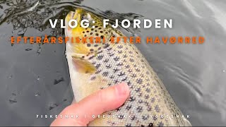 VLOG Efterårstur i fjorden [upl. by Robins]