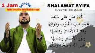 Sholawatan Syifa 1 Jam Bersama Habib Syech  Sholawat Tibbil Qulub [upl. by Odraude]