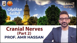 Cranial Nerves Part 2أدعمرو حسن الحسني أستاذ المخ و الأعصاب [upl. by Ennyrb]